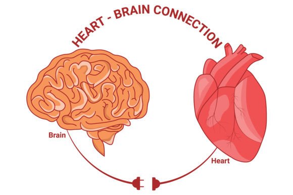 Download Heart and Brain Connection Vector Design - Vector Collection
